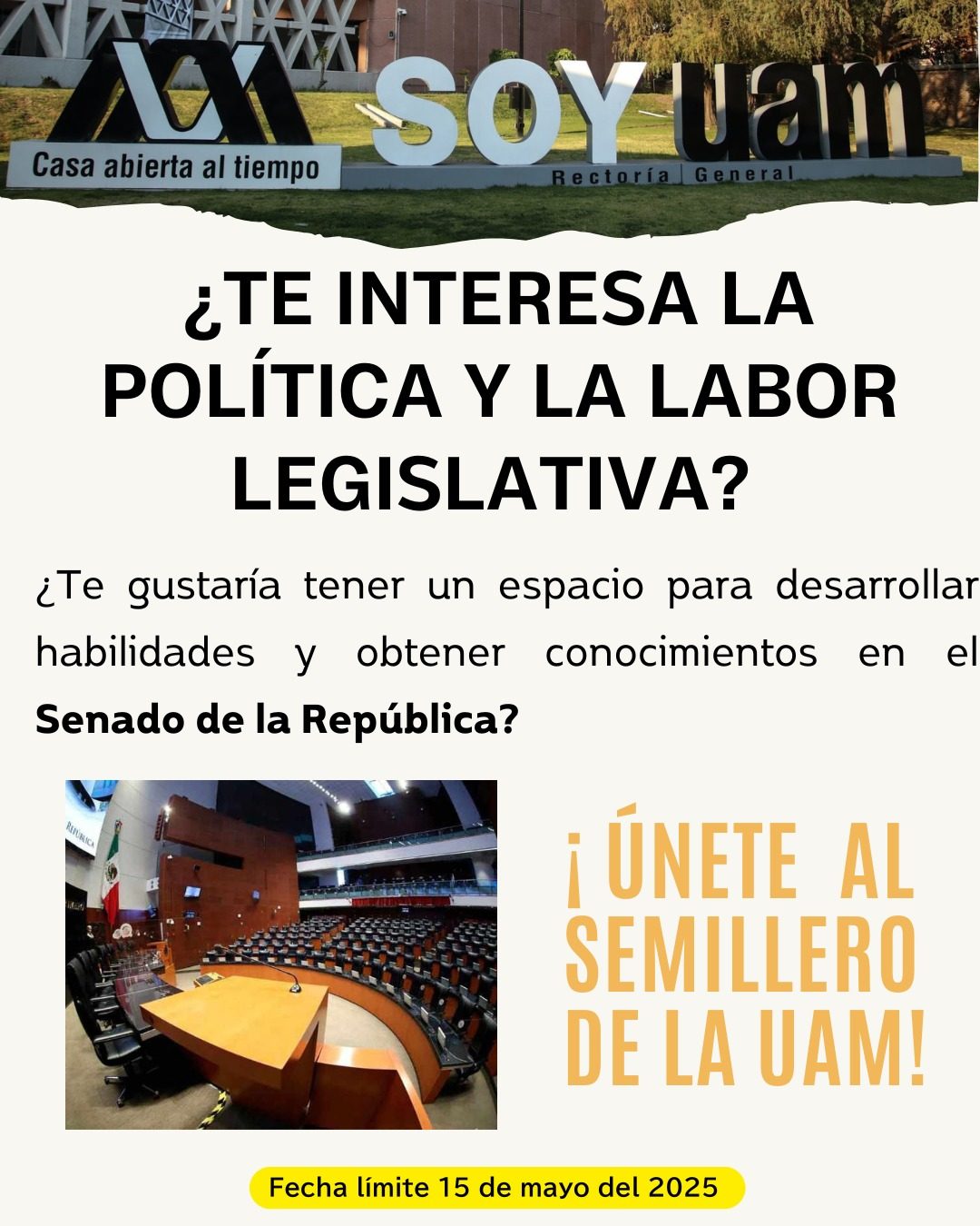 Instagram post from cipoluami. This post is in position 3.
